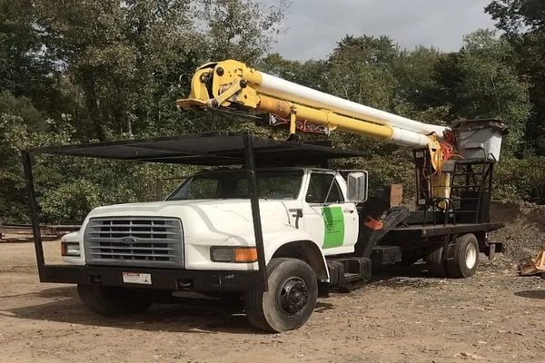Professional tree service