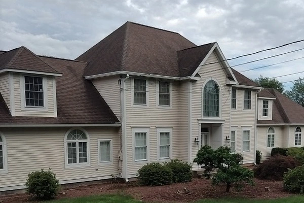 Reliable tree service